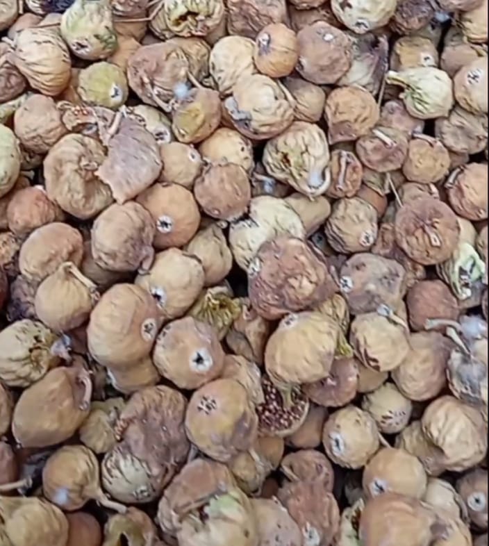 تصویر 1 از خرید و قیمت انجیر خشک ضایعات + فروش عمده